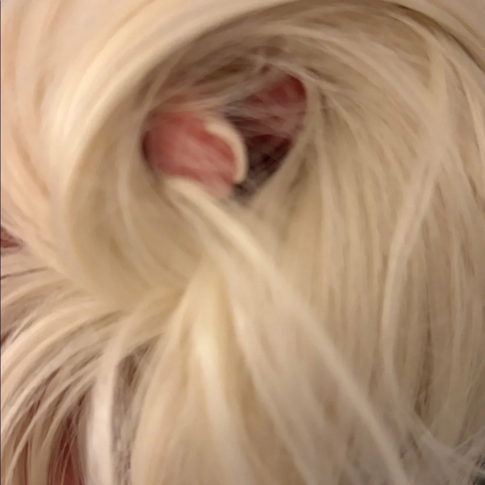 NWOT hair add in white blonde.